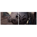 L&auml;skig Voodoodocka - Tv&aring;delat Posterset