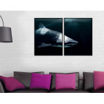 Shark - Turquoise Black and White Two Piece Poster