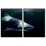 Shark - Turquoise Black and White Two Piece Poster