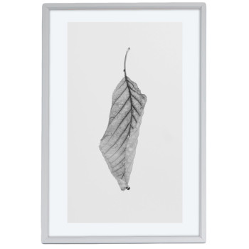Löv - Svartvit Enkel Poster Tavla
