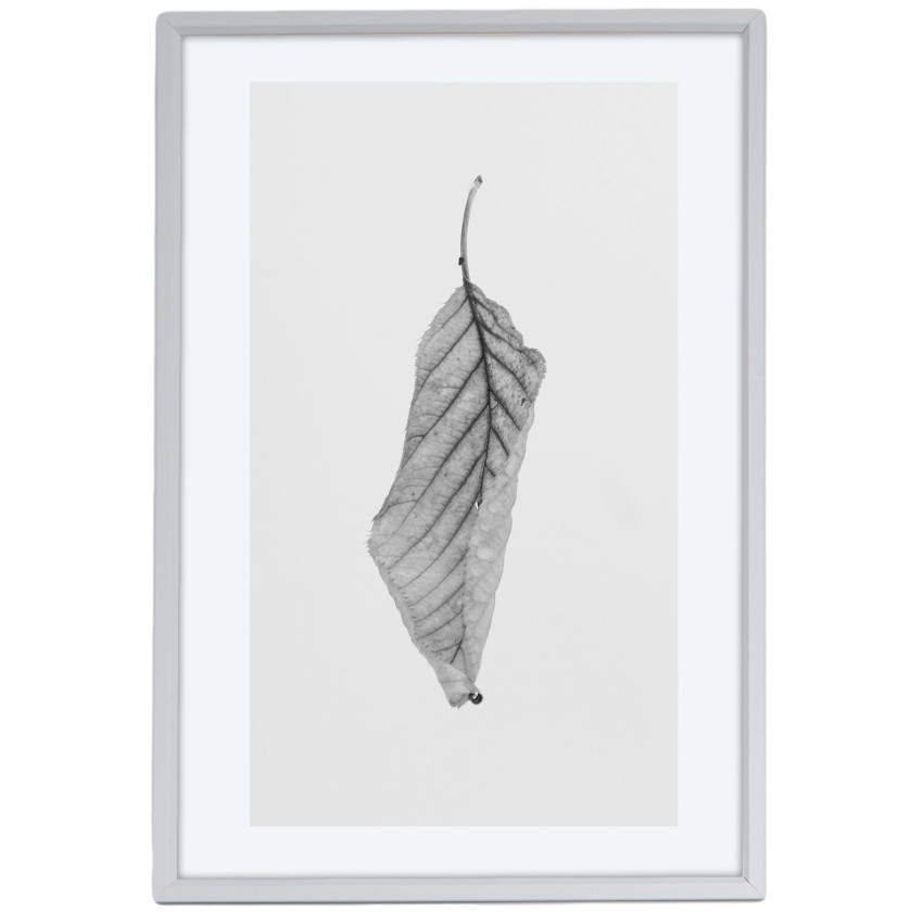 Simple Leaf - Black and White Poster