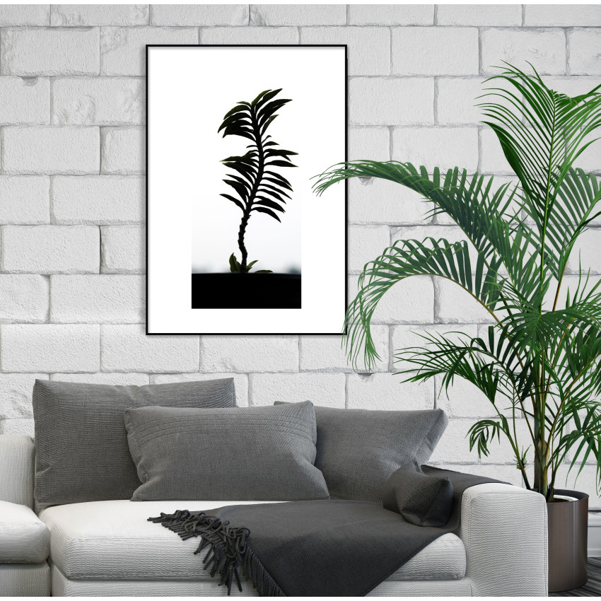 Simple Poster with a Palm Tree and White Background