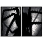 Spider on the Wall - 2-piece Poster