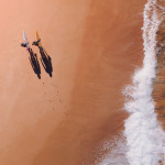 Surfare på en Beach - Tavla