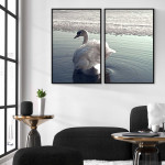 Swan in the Lake - Poster in Two Pieces