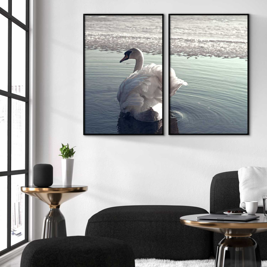 Swan in the Lake - Poster in Two Pieces