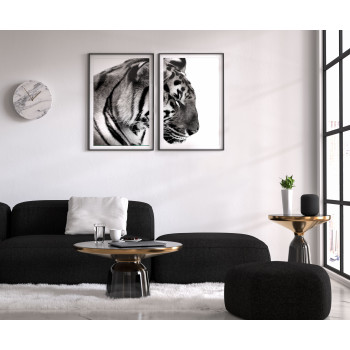 Tiger - Poster i Två delar