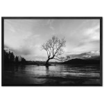 Tree in Center - Black and White Poster