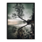 Tree Mirrors in Water - Dark Poster