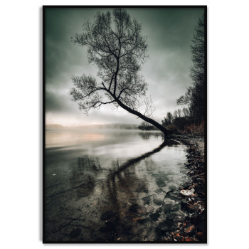 Träd Speglas i Klart Vatten - Mörk Poster