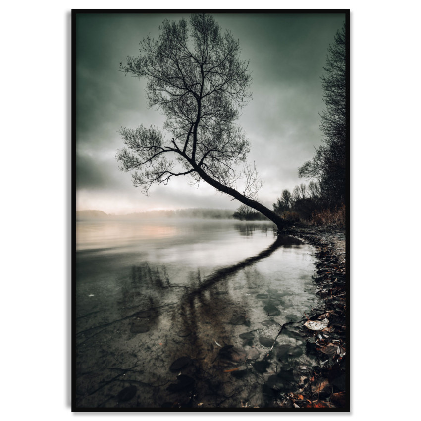Tree Mirrors in Water - Dark Poster