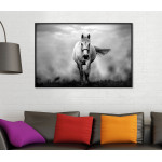 White Horse - Poster