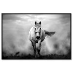 White Horse - Poster