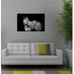 Zebra svartvit poster 50x70cm | Fri frakt!
