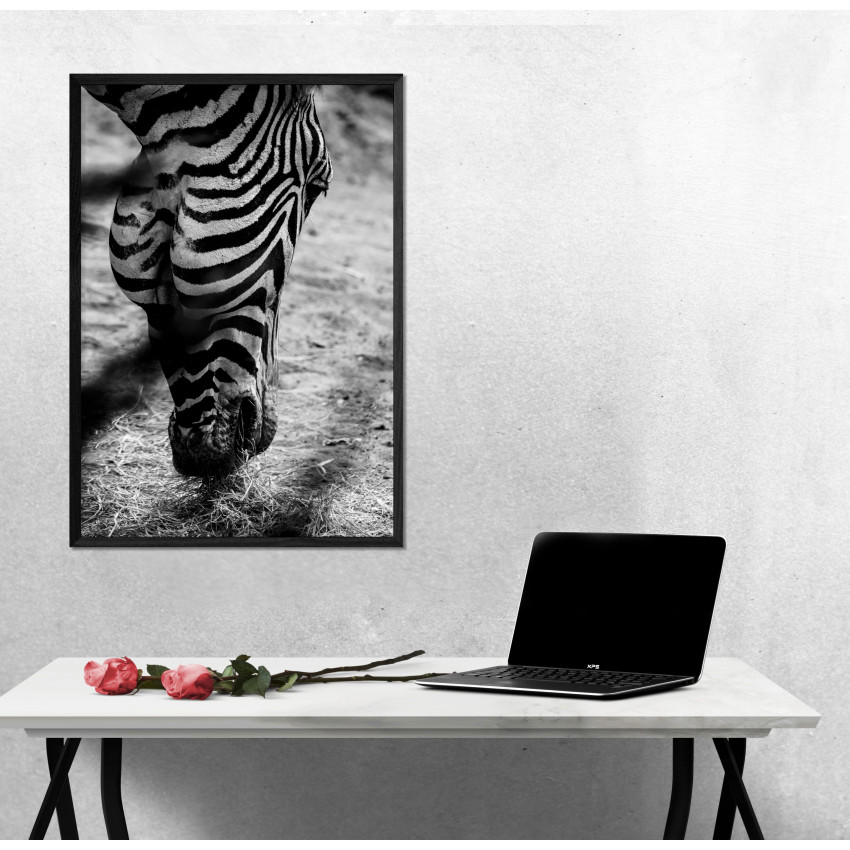 Zebra Close Up - Black and White Poster