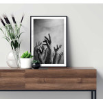 Zombie hands poster 50x70cm | Svartvita tavlor | Fri frakt