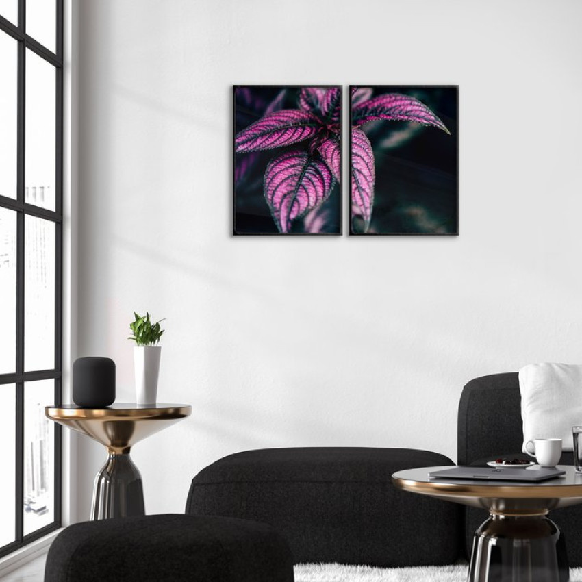 Rosa växt poster i två delar