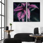 Rosa växt poster i två delar