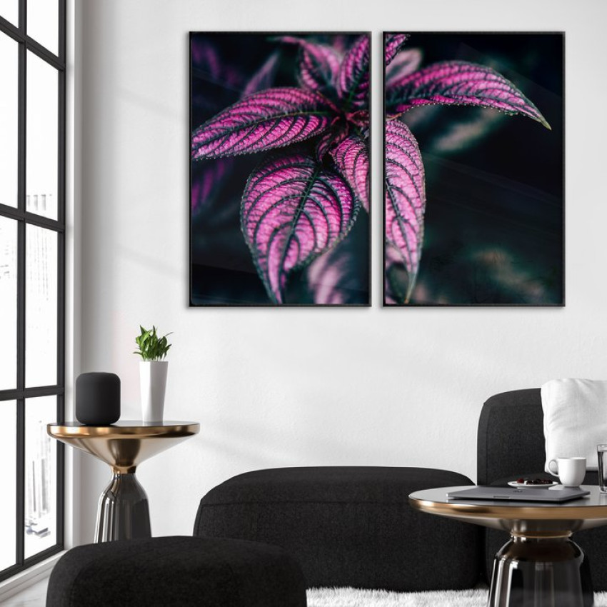 Rosa växt poster i två delar