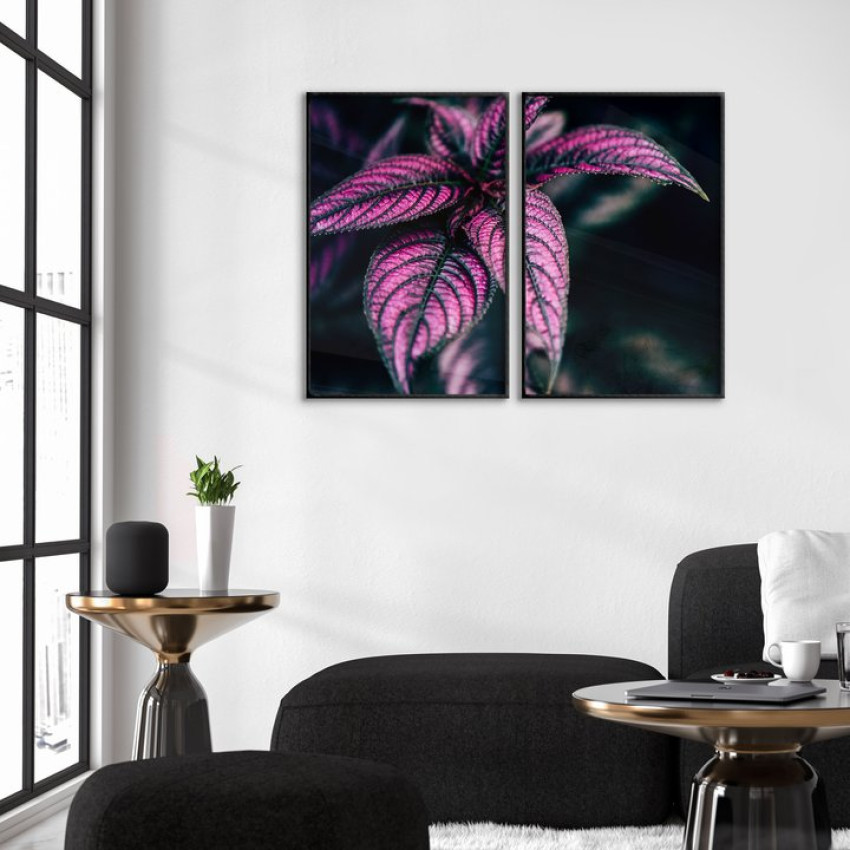 Rosa växt poster i två delar