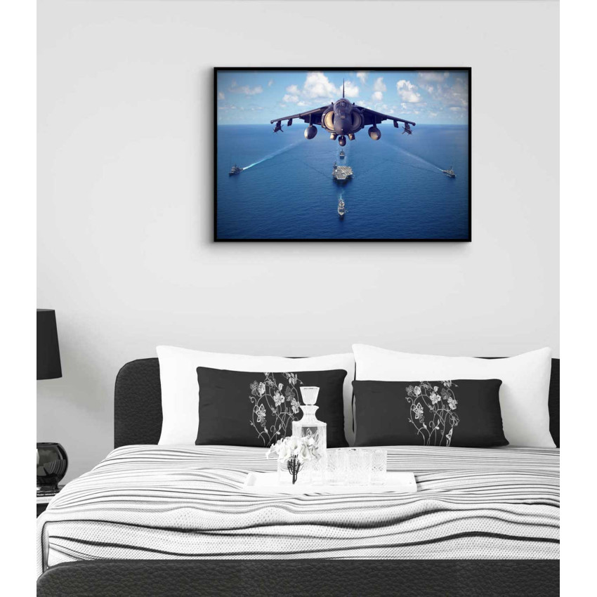 Fighter jet and Navy - Poster